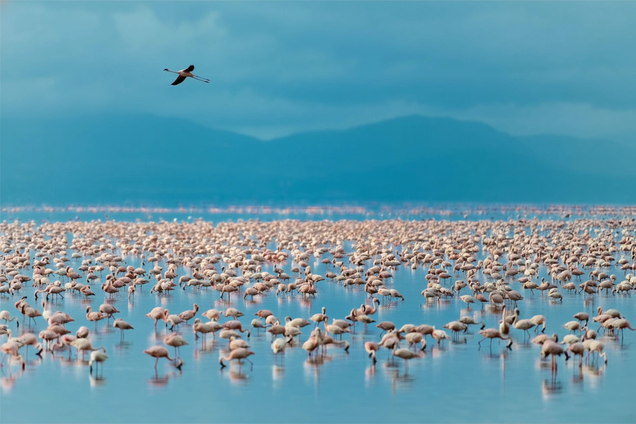 Lake Manyara