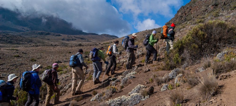 Rongai Trekking