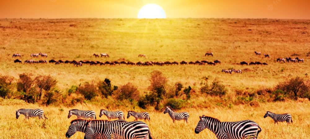 Sunrise in the Serengeti