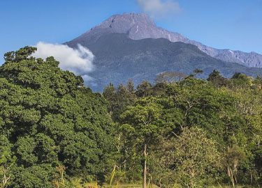 mt meru safari